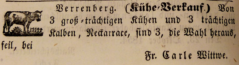Elisabetha Friederika Carle verkauft Kühe, Verrenberg 1854